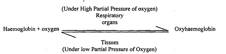 Functions of respiratory pigments, Biology